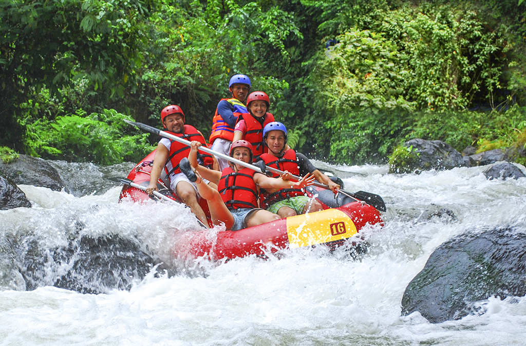 2 in 1 Package - Flying Fox